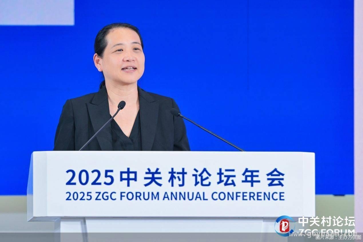 AI重塑软件领域,中国能否引领全球创新?高成投资洪婧解读,洪婧眼中的AI未来:机遇无限,挑战并存-果源资讯